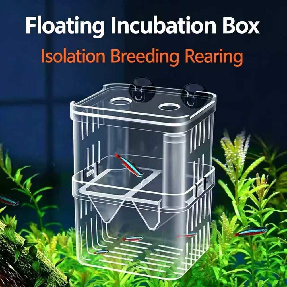 Double‑Layer Floating Aquarium Fish Breeding Isolation Box